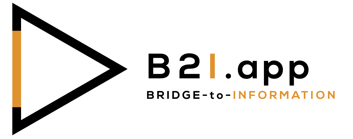 Bridge to Information